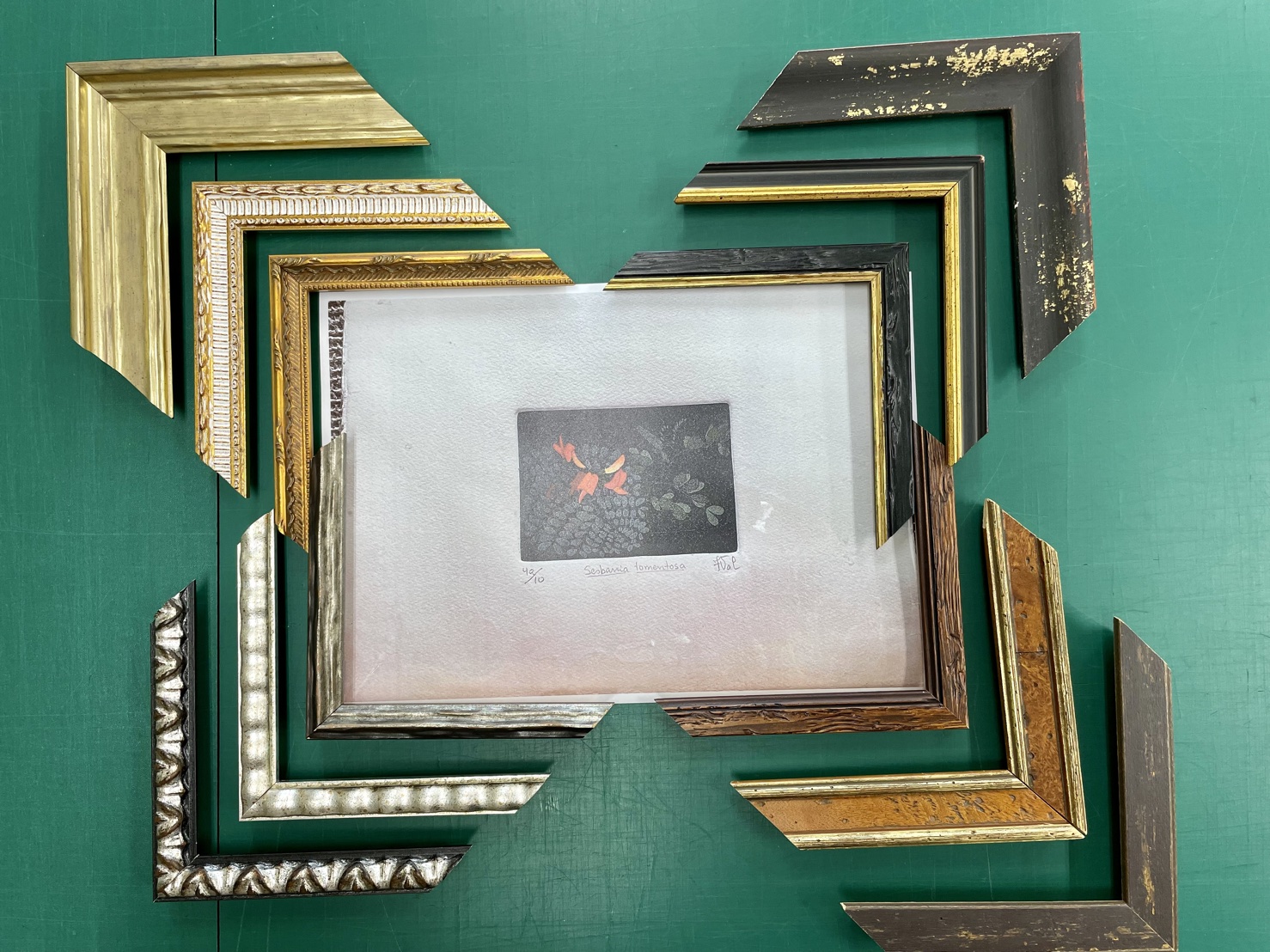 3 frame choice1